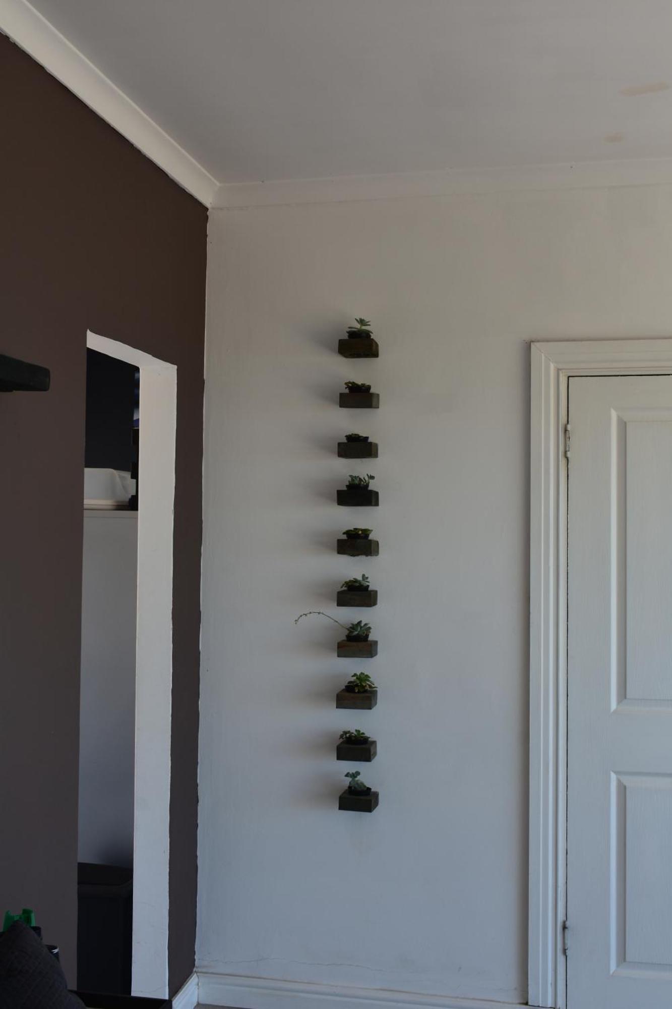 The Lazy Daisies Apartment St Helena Bay Ngoại thất bức ảnh